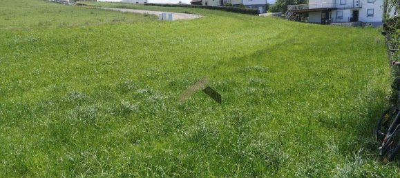  Land in Frankenmarkt, Austria No. 146887 6