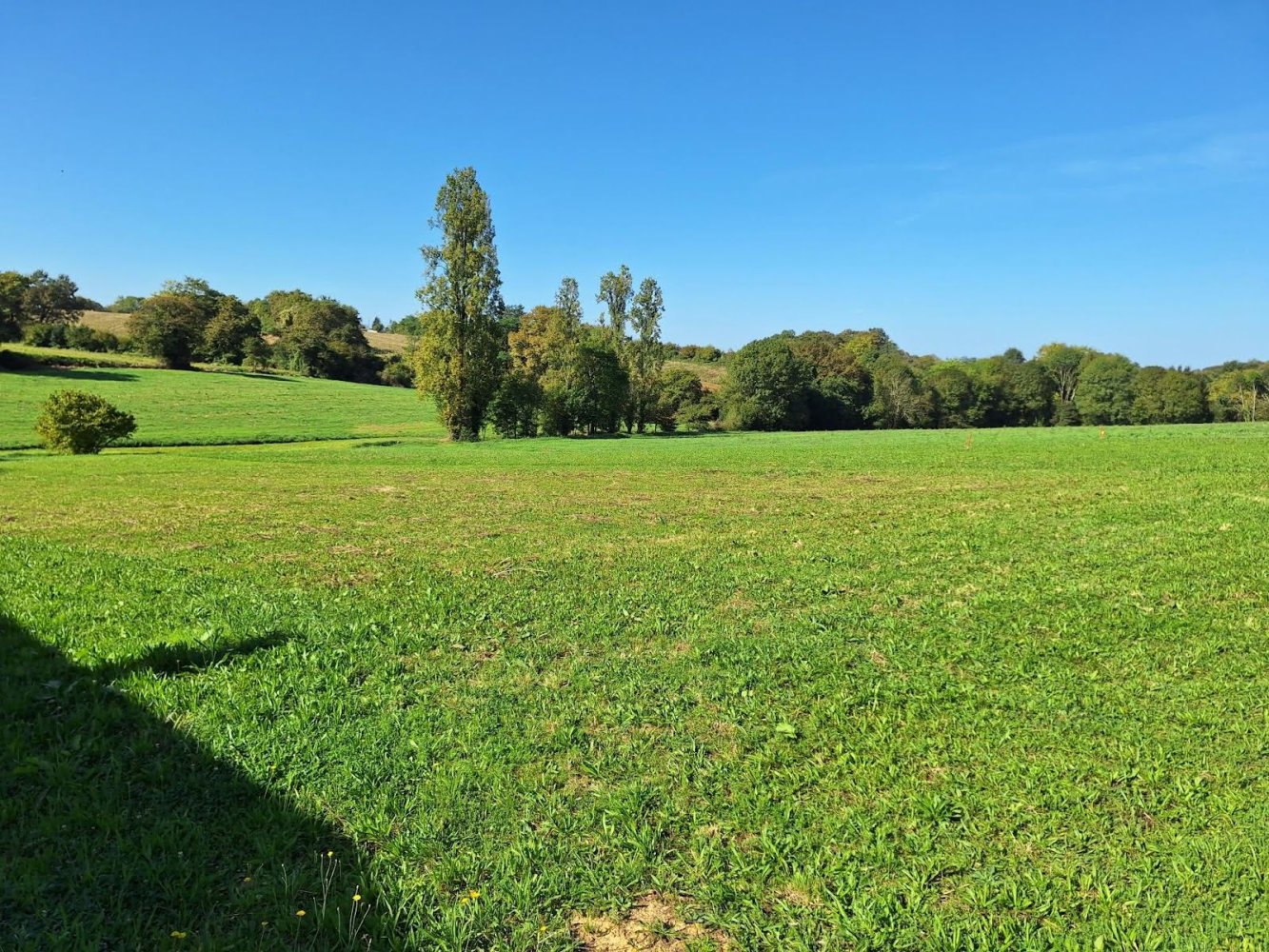 850m² Land in Louchats, France No. 45714