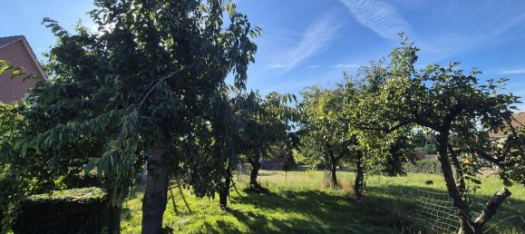 3 bedrooms House in Ludwigslust-Parchim, Germany No. 344701 7