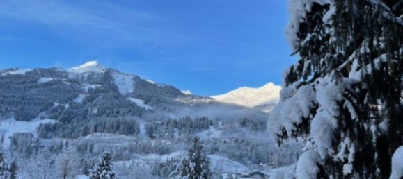 2 rooms Apartment in Bad Hofgastein, Austria No. 33961 4