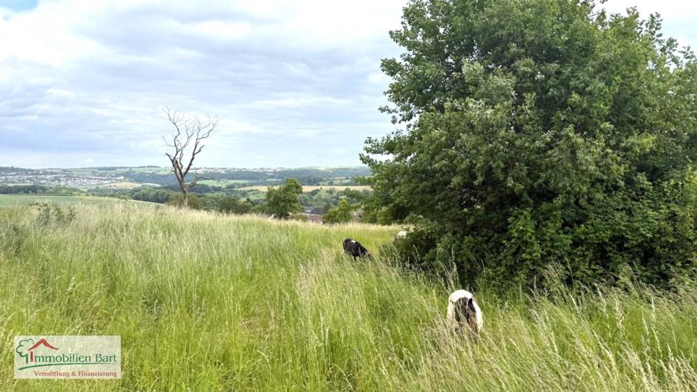 Grundstück in Trier-Saarburg, Germany, Nr. 262965