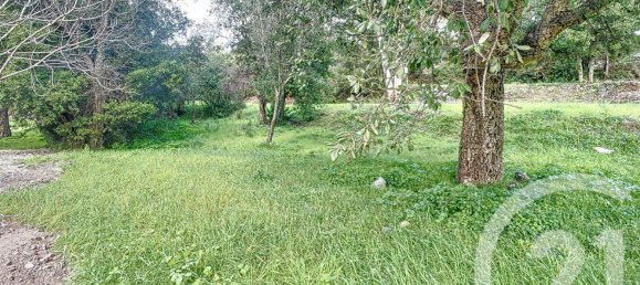  Land in Oletta, France No. 87926 6