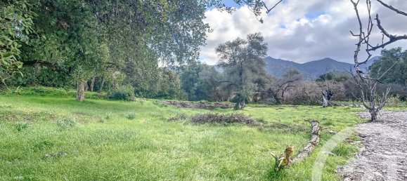  Land in Oletta, France No. 87926 2