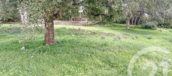  Land in Oletta, France No. 87926 10