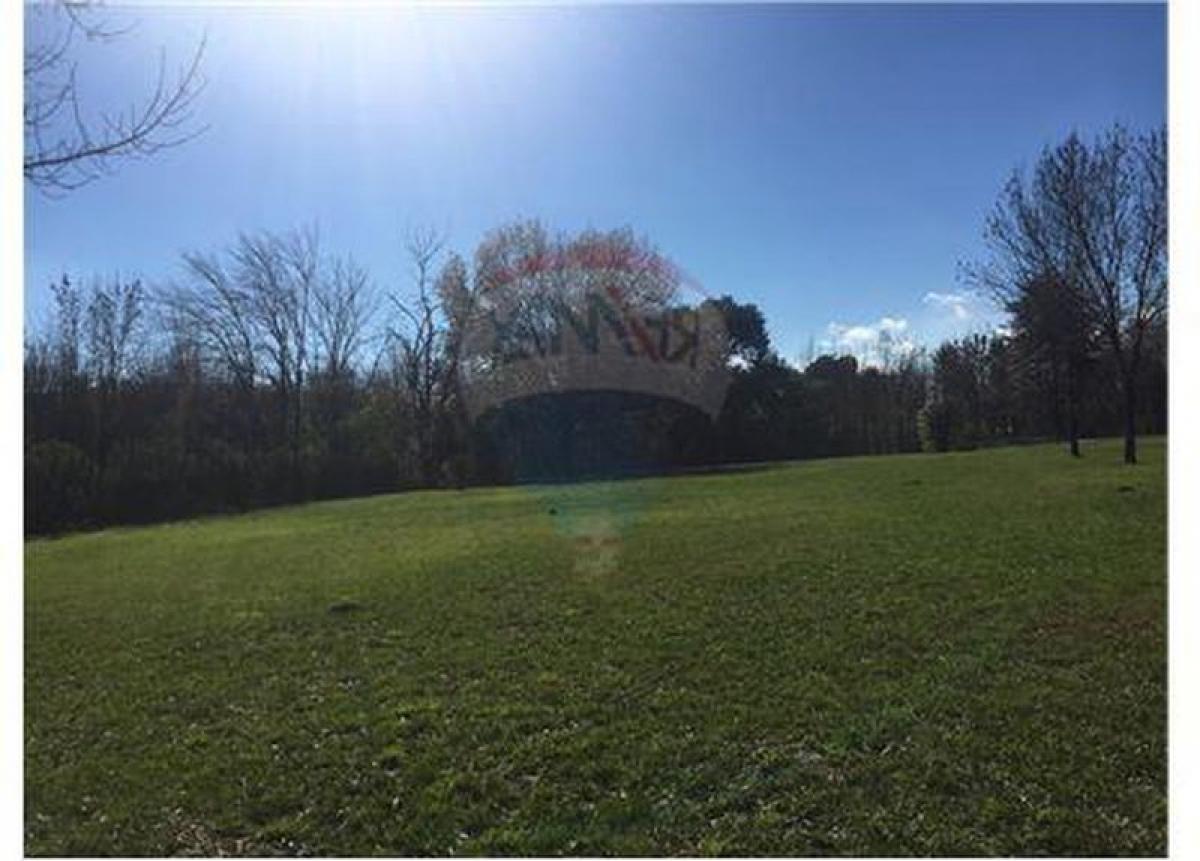 Grundstück in Pilar, Argentina, Nr. 34436