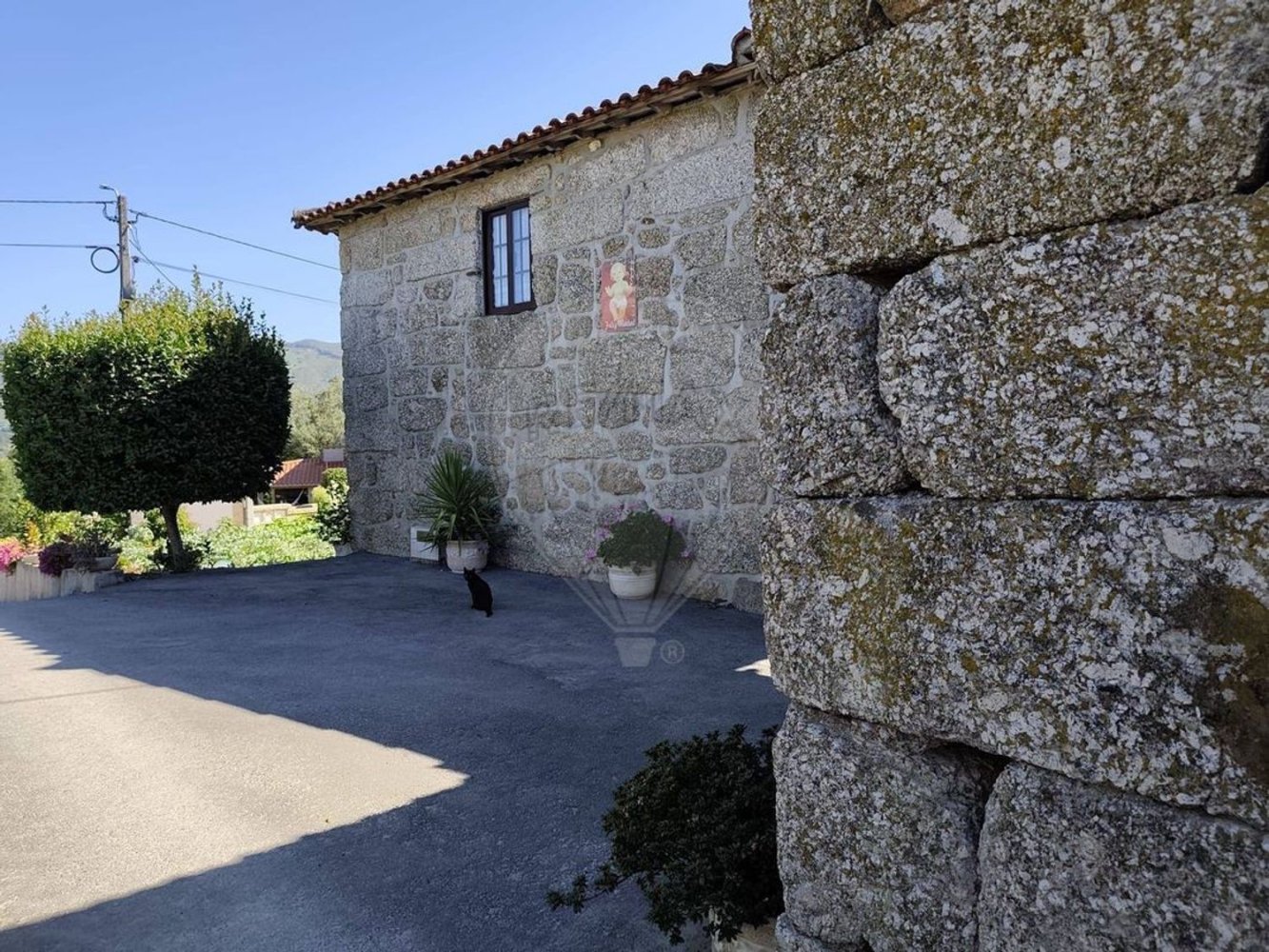 4 bedrooms House in Celorico de Basto, Portugal No. 310241