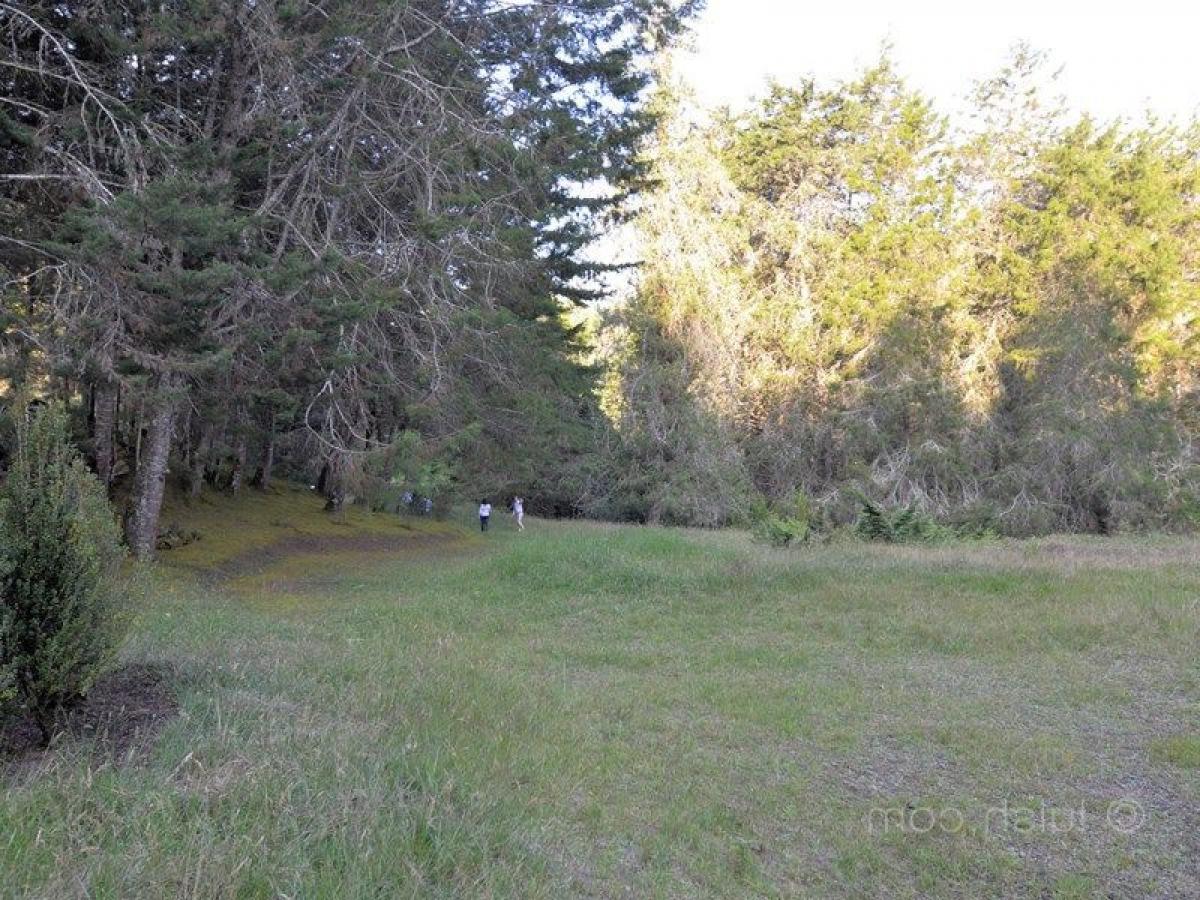 Grundstück in Antioquia, Colombia, Nr. 391