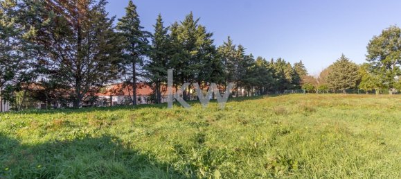 4 bedrooms Land in Setubal, Portugal No. 124450 18