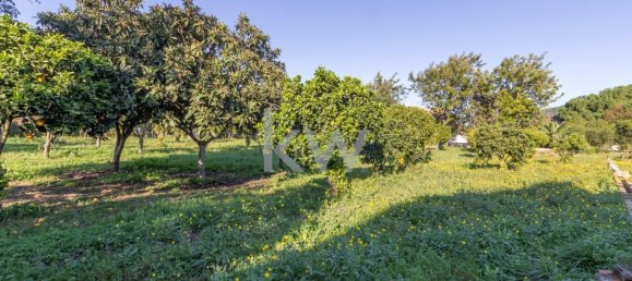 4 bedrooms Land in Setubal, Portugal No. 124450 20