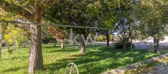 4 bedrooms Land in Setubal, Portugal No. 124450 7