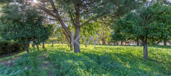 4 bedrooms Land in Setubal, Portugal No. 124450 5