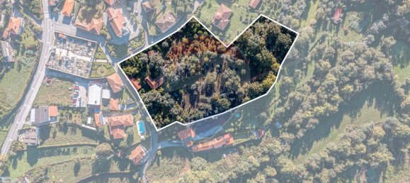 1 غرف نوم منزل في Amares, Portugal رقم 36837 4