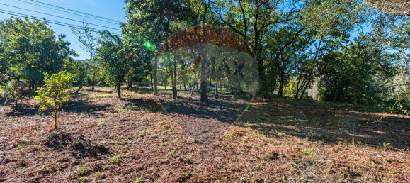 1 غرف نوم منزل في Amares, Portugal رقم 36837 32