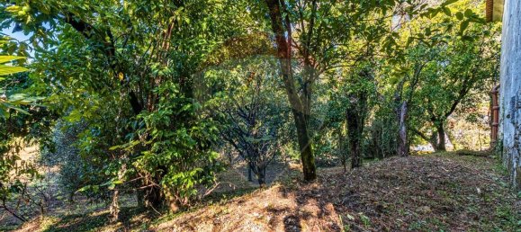 1 غرف نوم منزل في Amares, Portugal رقم 36837 30