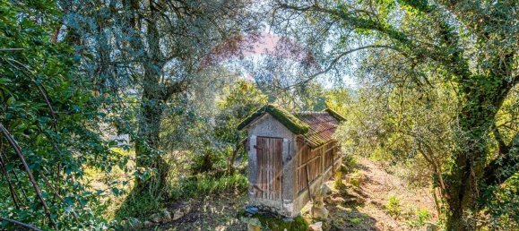 1 غرف نوم منزل في Amares, Portugal رقم 36837 26