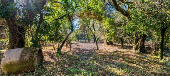 1 غرف نوم منزل في Amares, Portugal رقم 36837 28