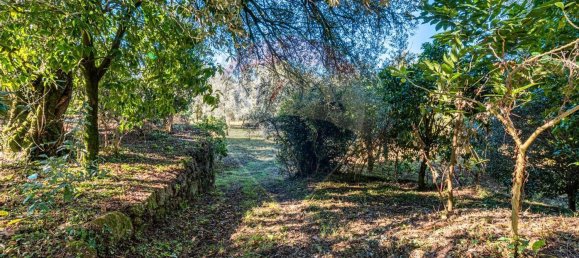 1 غرف نوم منزل في Amares, Portugal رقم 36837 29