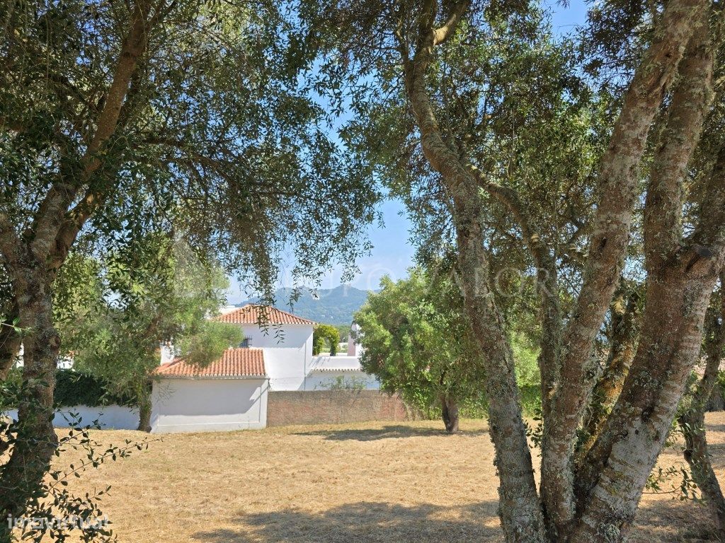 3 غرف نوم قلاع في Sintra, Portugal رقم 222101