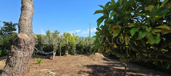 3 bedrooms Castles in Sintra, Portugal No. 222101 41