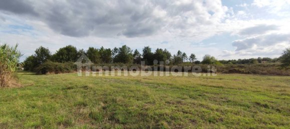 4 bedrooms Villa in Castelfranco di Sotto, Italy No. 349631 17