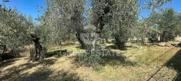 Casa T3 em Magione, Italy N.º 353592 13