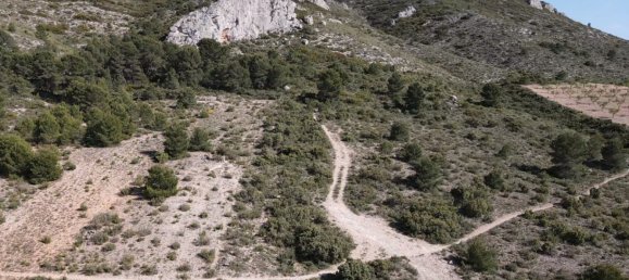 6 Schlafzimmer Villa in Yecla, Spain, Nr. 6728 19