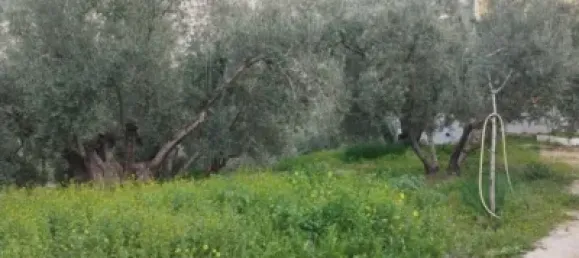 4 Schlafzimmer Haus in Andalusia, Spain, Nr. 138929 3