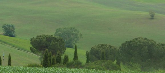 14 Schlafzimmer Villa in Murlo, Italy, Nr. 211957 33