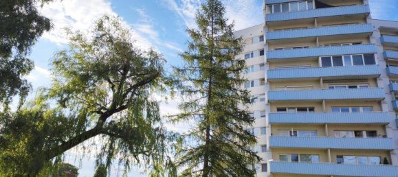 2-Zimmer Wohnung in Timelkam, Austria, Nr. 254559 7