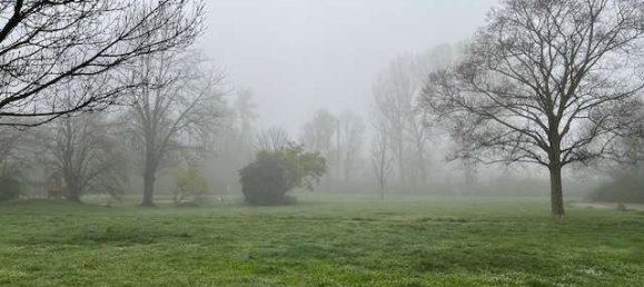 Apartamento de 5 habitaciónes en Ludwigshafen am Rhein, Germany No. 273355 4