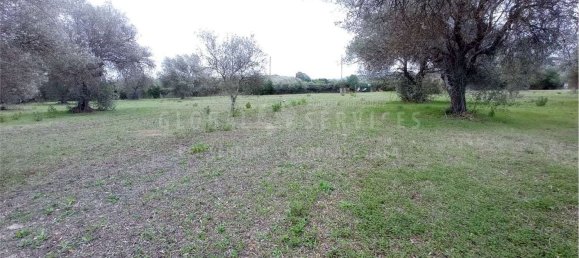8000m² Land in Alghero, Italy No. 104144 10