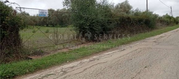 8000m² Land in Alghero, Italy No. 104144 12