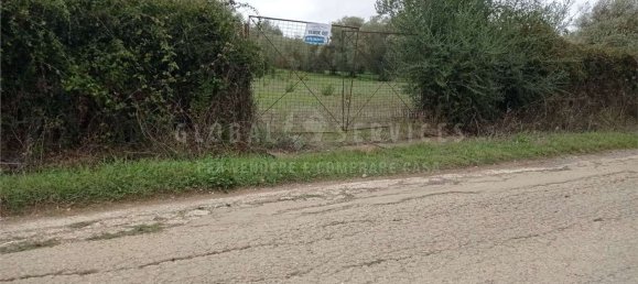 8000m² Land in Alghero, Italy No. 104144 11
