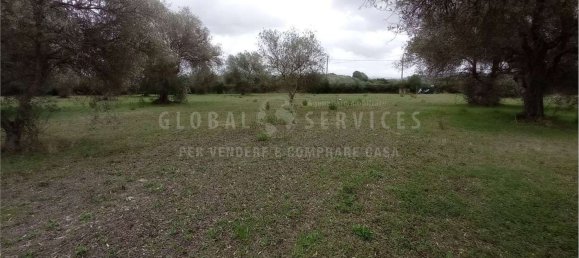 8000m² Land in Alghero, Italy No. 104144 8