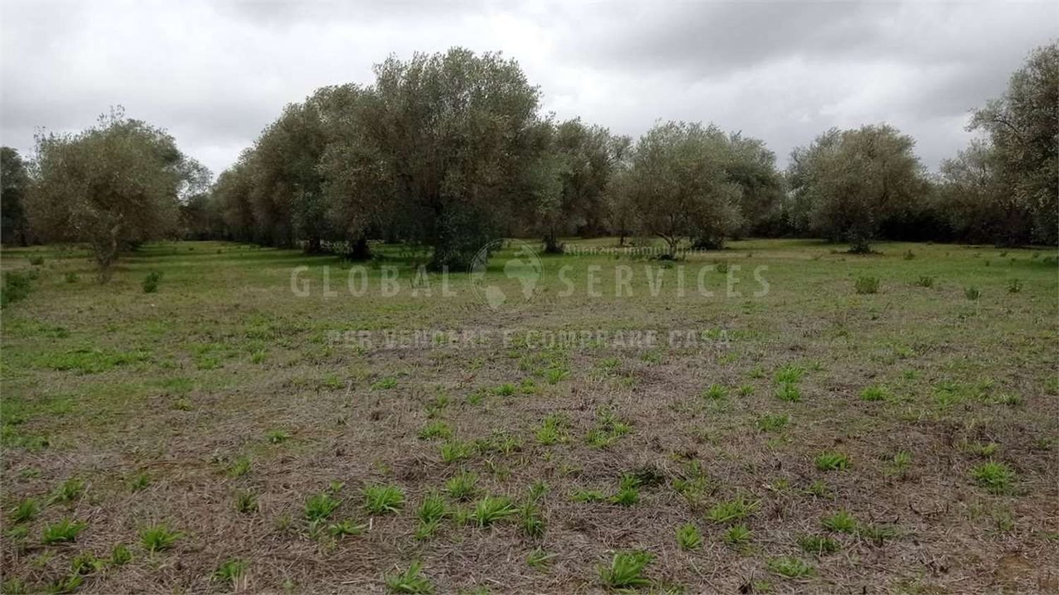 8000m² Land in Alghero, Italy No. 104144
