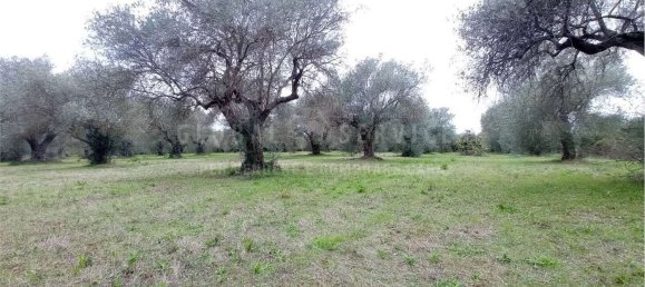 8000m² Land in Alghero, Italy No. 104144 6