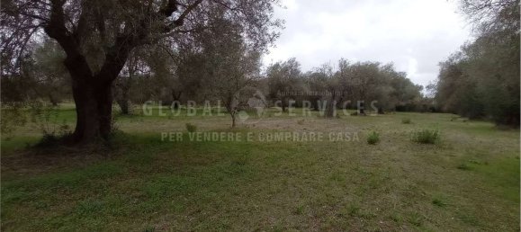 8000m² Land in Alghero, Italy No. 104144 9