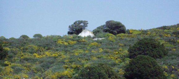 Terra em Kefalonia, Greece N.º 871 4