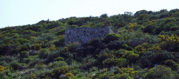 Terra em Kefalonia, Greece N.º 871 5