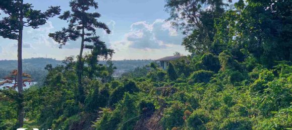 Земельный участок 1160м² в Порт-Вила, Вануату № 133 4