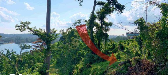 Земельный участок 1160м² в Порт-Вила, Вануату № 133 3