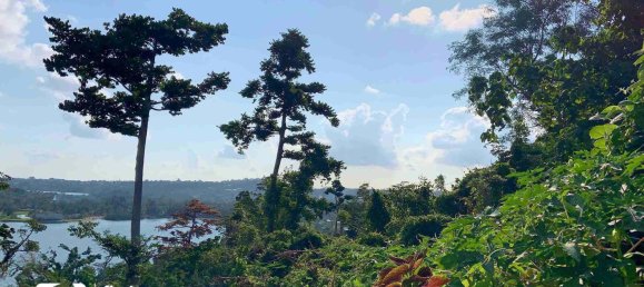 Земельный участок 1160м² в Порт-Вила, Вануату № 133 5