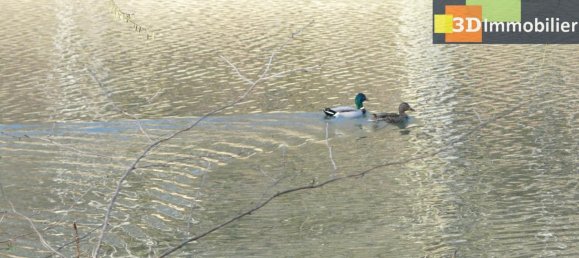 8 bedrooms House in Dole, France No. 201559 4