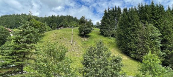 2غرفة شقة في Filzmoos, Austria رقم 199532 10