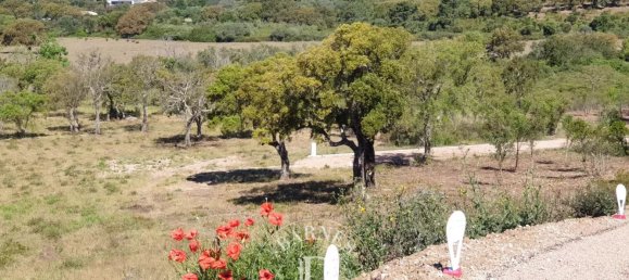  Land in Zonza, France No. 91296 2