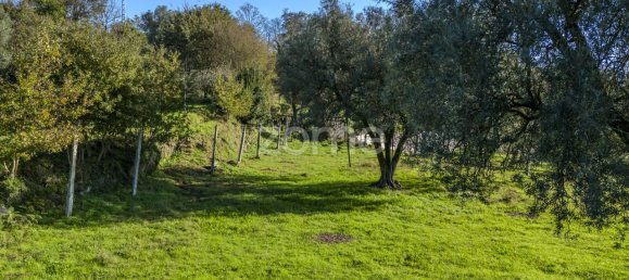 6 bedrooms House in Arcos de Valdevez, Portugal No. 77778 11