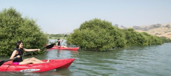 1 غرف نوم شقة في GATEWAY, Al Zorah, UAE رقم 63332 18