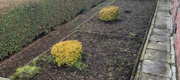 2 bedrooms Bungalow in Alzey-Worms, Germany No. 180109 10