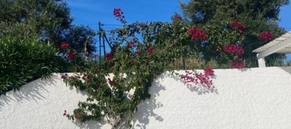 3 bedrooms Villa in San Nicola Arcella, Italy No. 320521 37