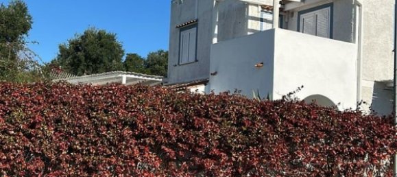 3 bedrooms Villa in San Nicola Arcella, Italy No. 320521 3